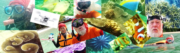 montage of snorkeling pics