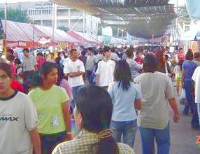 crowds at the ag fair