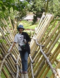 ann on bamboo bridge