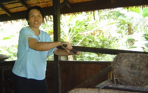 scraping the bark