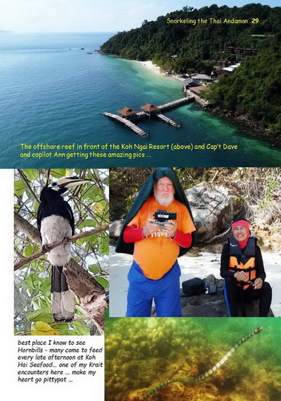 pic of the Ngai Resort Beach, ann and dave, hornbill